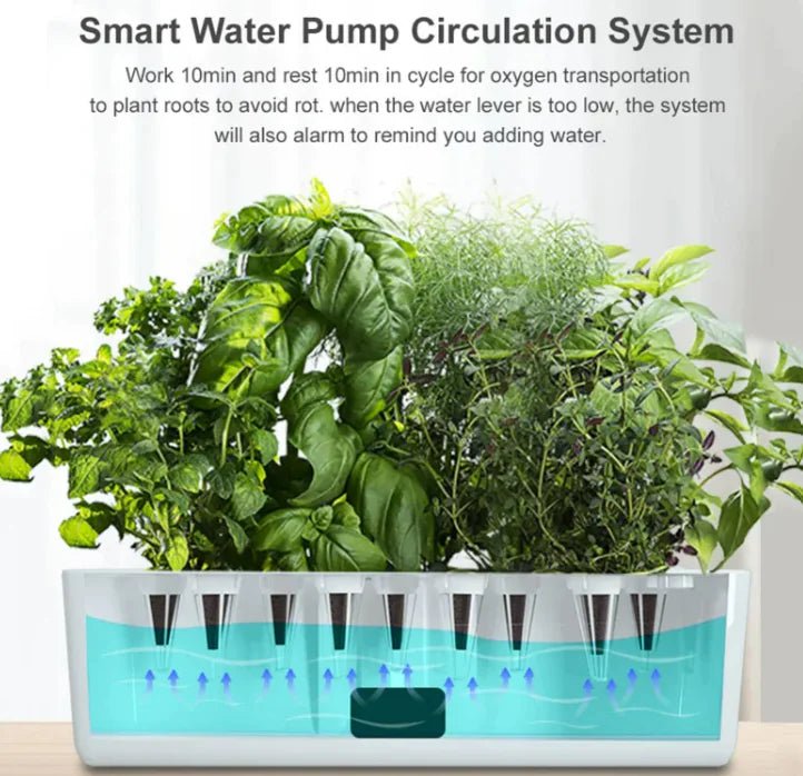 HydroFlo Sprout – Affordable & Easy Indoor Hydroponics System - HydroFlo